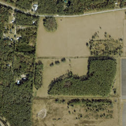 Byrd Florida High Resolution Satellite Map