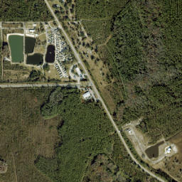 Gopher Ridge Florida High Resolution Satellite Map