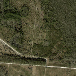 Tyler Florida High Resolution Satellite Map
