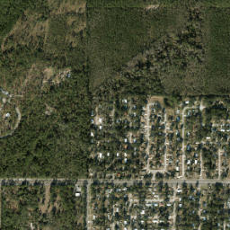 Ruthland Florida High Resolution Satellite Map