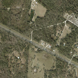 Shamrock Florida High Resolution Satellite Map
