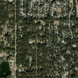 Shannon Wood Florida High Resolution Satellite Map