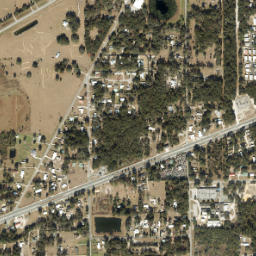 Francis Florida High Resolution Satellite Map