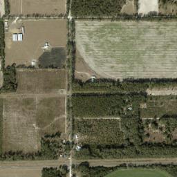 Lottieville Florida High Resolution Satellite Map