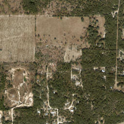 Whiteville Florida High Resolution Satellite Map