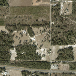 County Road 55, Old Town, FL 32680 High Resolution Satellite Map