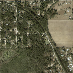 Wilcox Junction Florida High Resolution Satellite Map