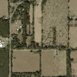 Wilcox Florida High Resolution Satellite Map