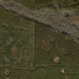 Putnam County map(satellite map)