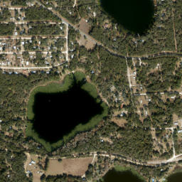 McMeekin Florida High Resolution Satellite Map