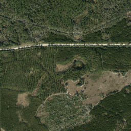 Phifer Florida High Resolution Satellite Map