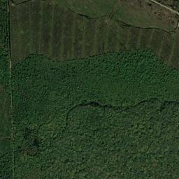 Myrtle Island Florida High Resolution Satellite Map