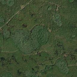 Dixie County map(satellite map)