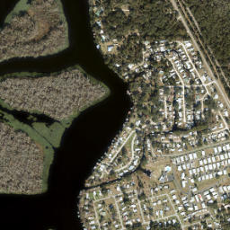 Buffalo Bluff Florida High Resolution Satellite Map