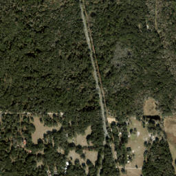 Wacahoota Florida High Resolution Satellite Map