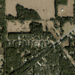 Peach Orchard Florida High Resolution Satellite Map
