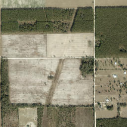 Andrews Florida High Resolution Satellite Map