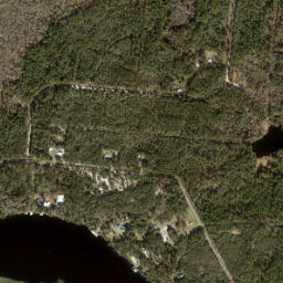 Possum Bluff Florida High Resolution Satellite Map