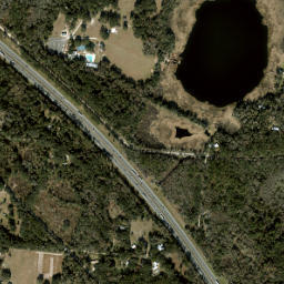 Tacoma Florida High Resolution Satellite Map