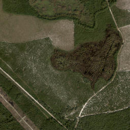 Neoga Florida High Resolution Satellite Map