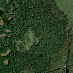 Micanopy Junction Florida High Resolution Satellite Map