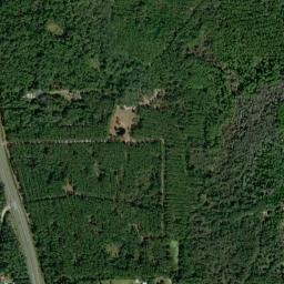 Lochloosa Florida High Resolution Satellite Map