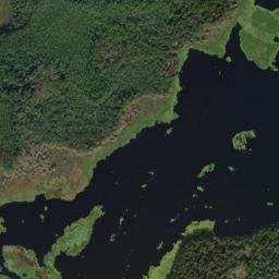 Fort Brook Landing Florida High Resolution Satellite Map