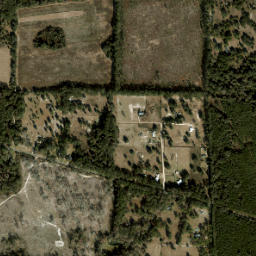 Adam Florida High Resolution Satellite Map