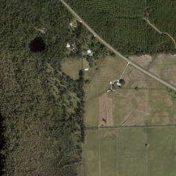 Florida 20, Bunnell, FL 32110, USA High Resolution Satellite Map