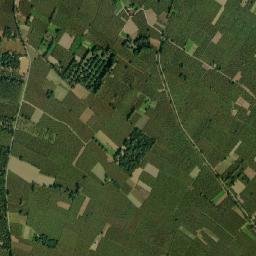 Muzaffarnagar map(satellite map)