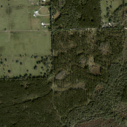 Black Point Florida High Resolution Satellite Map