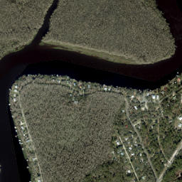 Fowlers Bluff Florida High Resolution Satellite Map