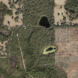 Hammond Florida High Resolution Satellite Map