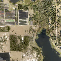 Senyah Florida High Resolution Satellite Map
