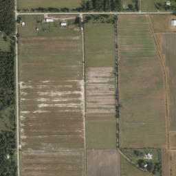 Deanville Florida High Resolution Satellite Map