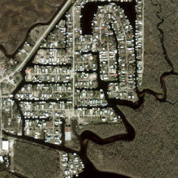 Suwannee Florida High Resolution Satellite Map
