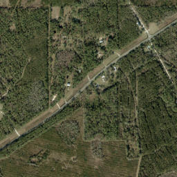 Ellzey Florida High Resolution Satellite Map