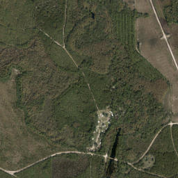 Relay Florida High Resolution Satellite Map