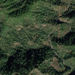 Champawat map(satellite map)