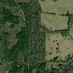 Levy County map(satellite map)