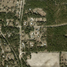 Morriston Florida High Resolution Satellite Map