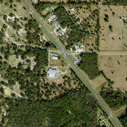 Blitchton Florida High Resolution Satellite Map