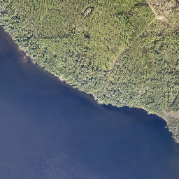 Deadman Landing Florida High Resolution Satellite Map