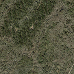 Gulf Hammock Florida High Resolution Satellite Map