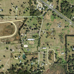 Fellowship Florida High Resolution Satellite Map