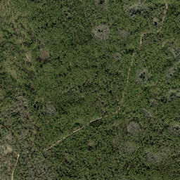 Beetree Ford Florida High Resolution Satellite Map