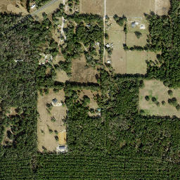 Cotton Plant Florida High Resolution Satellite Map