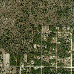 Hoyt Florida High Resolution Satellite Map