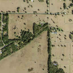 York Florida High Resolution Satellite Map