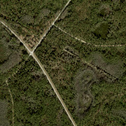 Tidewater Florida High Resolution Satellite Map